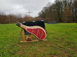 Der Weihnachtsschinken